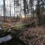 Homes In The Harzresort On The Brocken, Schierke