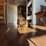 Homes In The Harzresort On The Brocken, Nyaraló Schierke