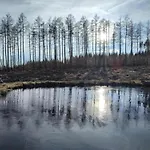 Homes In The Harzresort On The Brocken, *
