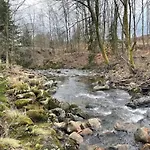 Homes In The Harzresort On The Brocken, Nyaraló *
