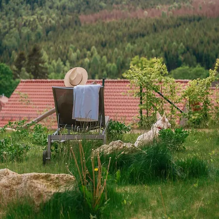 Homes In The Harzresort On The Brocken Holiday home *