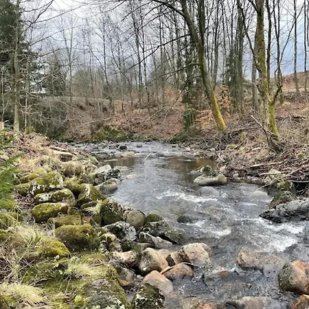 Homes In The Harzresort On The Brocken, Сasa de vacaciones *
