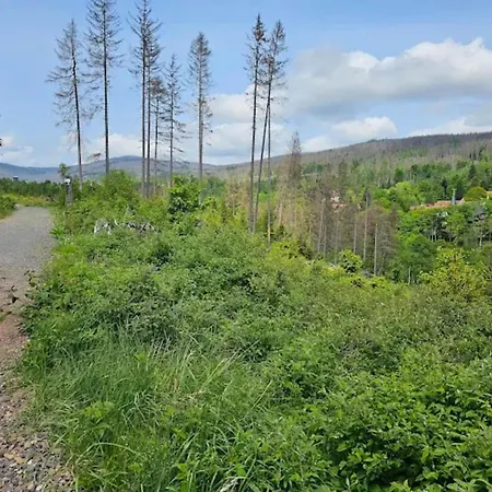 Homes In The Harzresort On The Brocken, Сasa de vacaciones Schierke