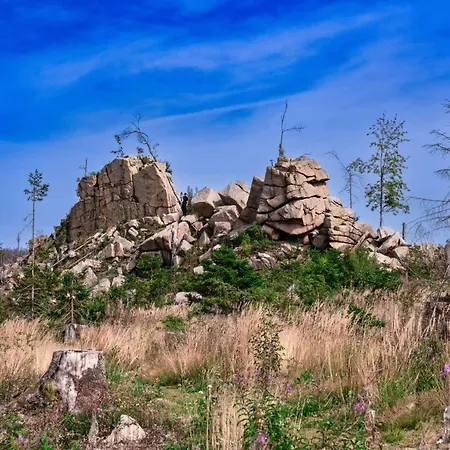 Homes In The Harzresort On The Brocken,