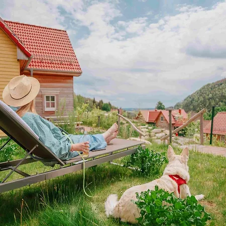 Homes In The Harzresort On The Brocken, *