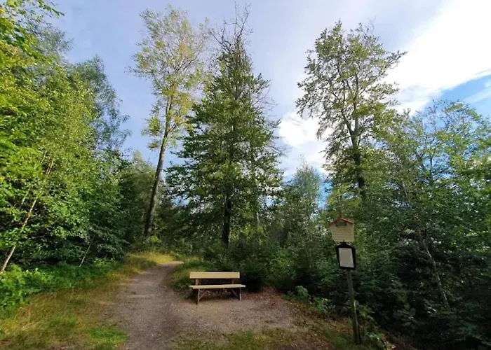 Casa de Férias Homes In The Harzresort On The Brocken, Schierke
