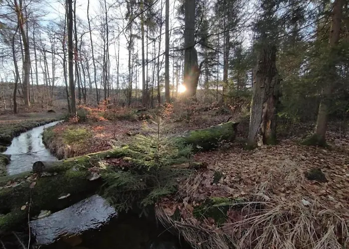 Homes In The Harzresort On The Brocken, Schierke