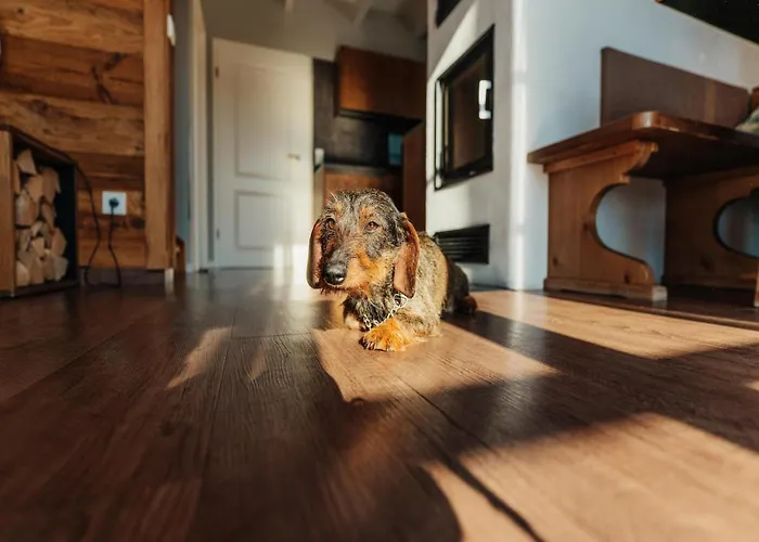 Homes In The Harzresort On The Brocken, Nyaraló Schierke