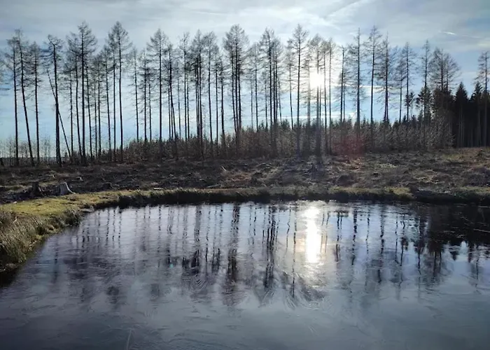 Homes In The Harzresort On The Brocken, *