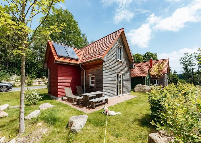 Homes In The Harzresort On The Brocken, *