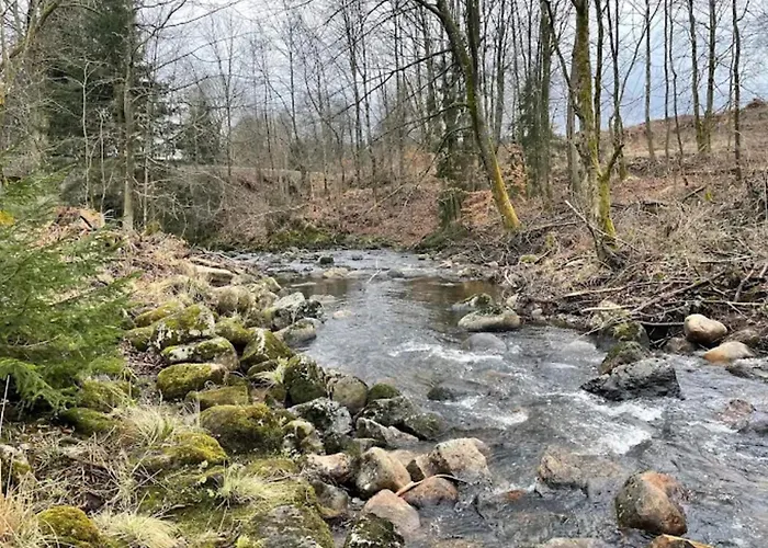Homes In The Harzresort On The Brocken, Nyaraló *