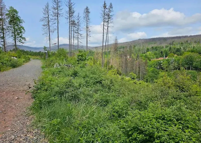Homes In The Harzresort On The Brocken, Casa de Férias Schierke