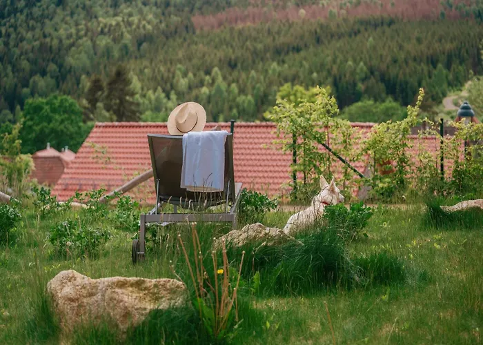 Homes In The Harzresort On The Brocken, Casa de Férias *