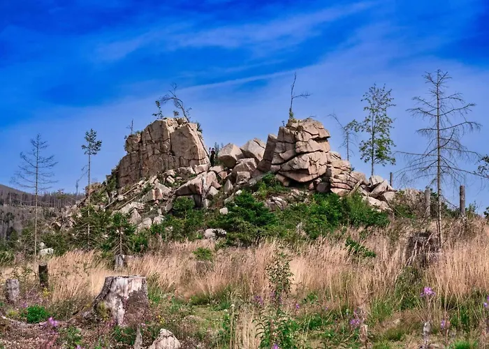 Homes In The Harzresort On The Brocken,